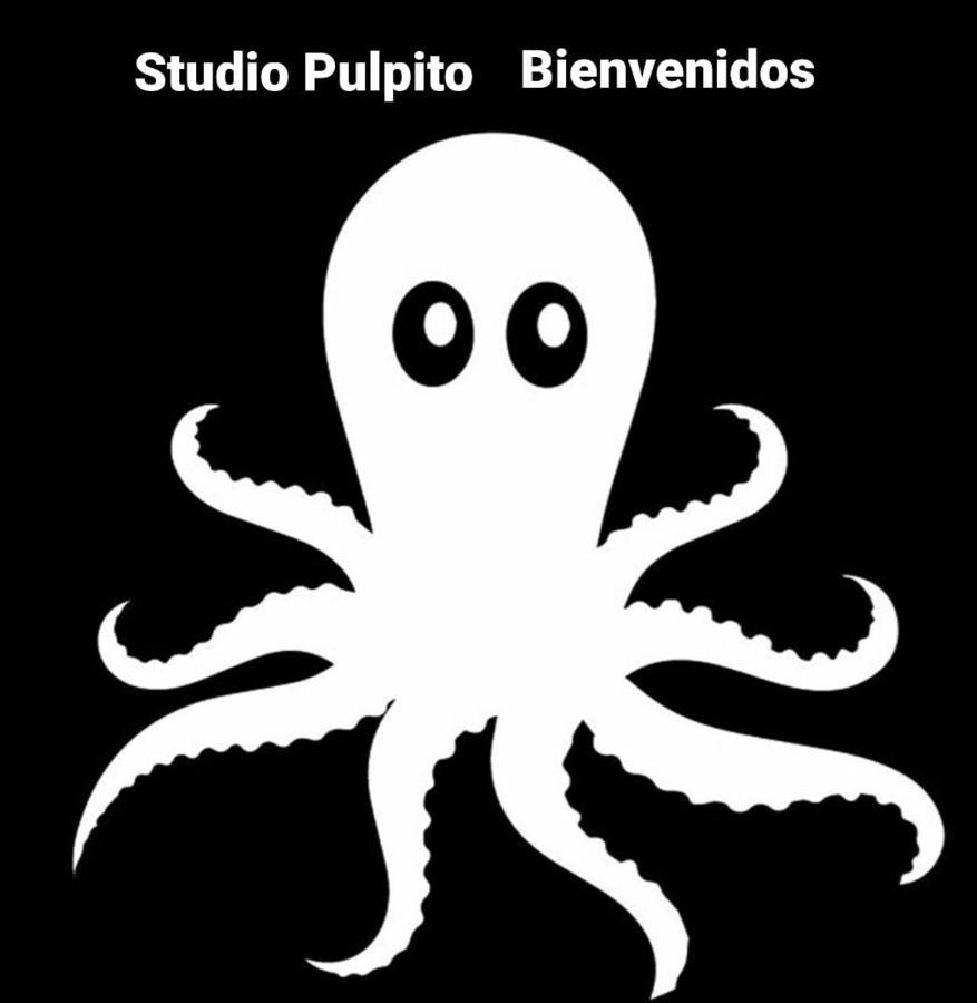 Studio Pulpito In The Charming Heart Of Downtown Pv Puerto Vallarta Luaran gambar